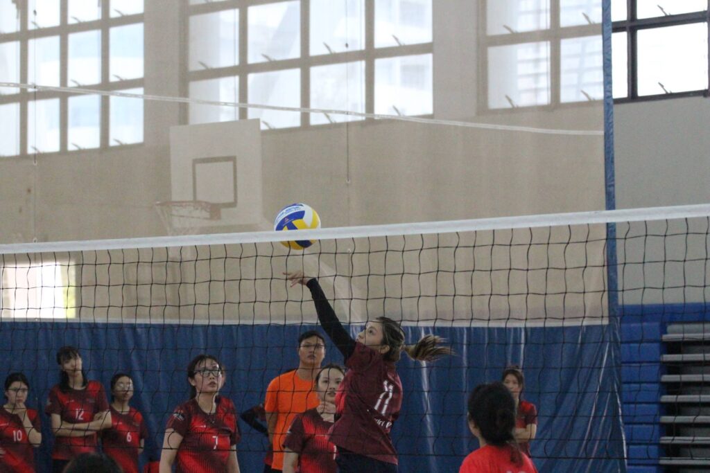 TDT Volleyball Cup